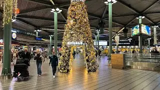 Christmas at Amsterdam Schiphol Airport | Christmas Decorations & Night Walk🇳🇱🎄