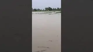 #flood #toofan #barish #alert #flooding #viral #dengerous #trending #lifeisbutadream