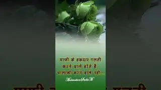 motivational quotes #motivation #inspirational #mindset #cgsadam