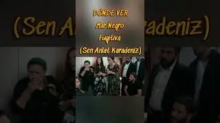 C&oacute;mo ver 