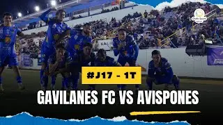 Gavilanes FC vs Avispones #J17 #G2 1T