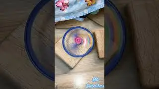 #shorts #hindisong #spintoy #safespin #spinner