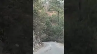 beautiful ❤️❤️❤️❤️ #youtubeshorts #viral #nature #love #traving #travalling #travel