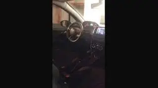 Peugeot 208: Man versus Fan