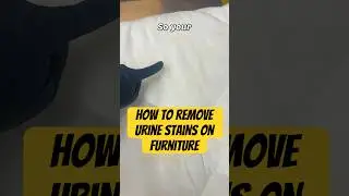 How To Remove Urine Stains On Furniture #cleaning #stainremoval
