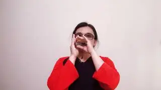 Autumn Leaves, Diatonic Harmonica jazz,龙登杰
