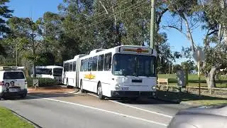 Horizons West Mercedes-Benz O305G 1GTR207 Arrives @ Ern Clark Athletic Track