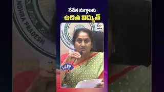 Good News for Weavers  200 Units of Free Electricity  from April 1 | Minister Savitha