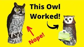 Best Owl for Woodpecker Deterrent - Ugold Solar Motion Sensor Owl vs Dalen Fake Owl Scarecrow Decoy