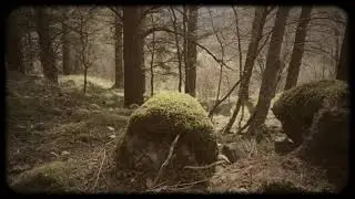 Wayfaring stranger (american folk song cover)