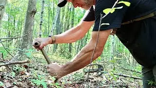 Digging up old coins in a spot others missed metal detecting