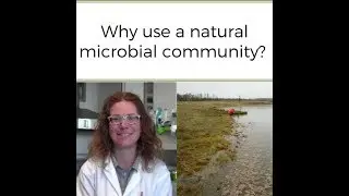 Why Use a Natural Microbial Community?