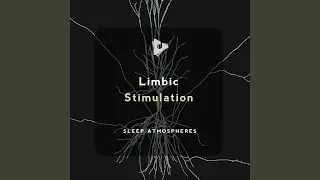 Sleep Architecture