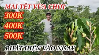 📞 PHIM 0354737009 MAI TÀNG CHƠI TẾT NỤ KẸO MỨC VỪA CHƠI GOM LẸ BAO SHIP 18/01/2026 | BẾN TRE ƠI