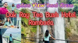 Oak Ray Tea Bush Hotel Ramboda | ලස්සන view එකක් තියෙන hotel එකක් 😍