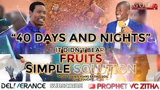 40 DAYS AND NIGHTS, IT DIDN'T BEAR FRUITS, SIMPLE SOLUTION