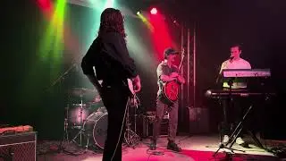 Shark 🦈  Legs 🦵🦵 Live at The High Dive in Seattle, Washington 1/4/2024
