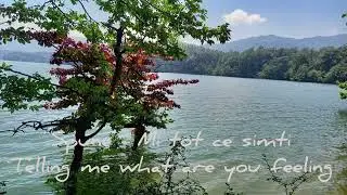 Spune - Mi tot ce simti - Telling me what are you feeling