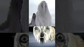 😱ВСЯ ПРАВДА МЕМ ИЗ 2027 ( 2026 ) #Shorts