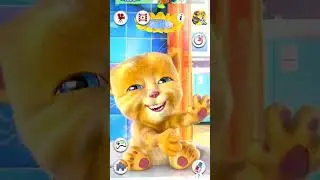 Talking Ginger Laughing Funny Noises 😂🤣😻 #talkingginger #games #funny