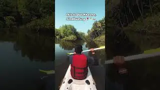 Khavne 🏝️❣️🚣🏻. #kayak #kayaking #maharashtratourism #malvan #mangrove