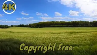 Most Beautiful Scenery Of Relaxing Farm Field | Copyright Free Footage For Content Creators | 4K UHD