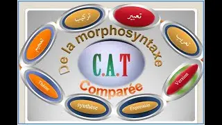 Morphosyntaxe compar&eacute;e 1        