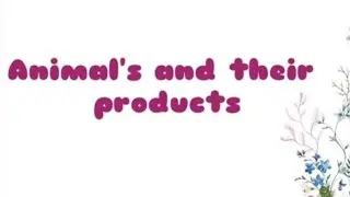Animal | Animal Products | Food from animals | Food item we get from animals |Animals and their food