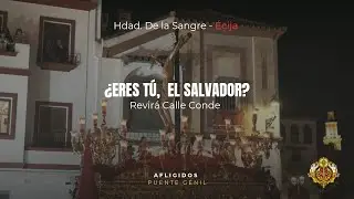 REVIRÁ CALLE CONDE CRISTO DE LA SANGRE || ÉCIJA 2025 | AFLIGIDOS-¿ERES TÚ, EL SALVADOR?