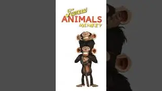 Famous Cartoons Animals for Kids