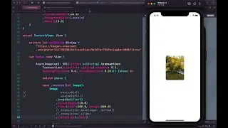 How to Download image from URL using AsyncImage iOS 15 SwiftUI Part #2 (Animation)