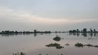 Ottu head #sirsa in #flood #ghaggarriver