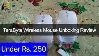 Rs 250 wireless Mouse TeraByte Unboxing Review & Test