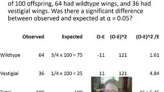 Ch. 5 The Inheritance of Single Gene Traits - Part 3 - The Chi Square Test