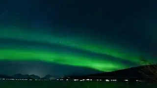 8D music  I  Normalize Adrenal Function 1335 Hz  I  using sound to heal