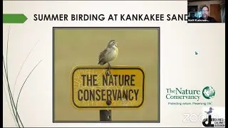 Summer Birding at Kankakee Sands June 17 2021