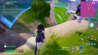 Best clutch I ever had #fortnite #gaming #cat #picklerick #insane