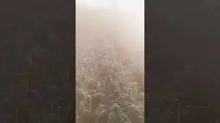 Farmers #shorts #viralvideo #challenge