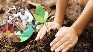Tree Plantation Programme || VANAMAHOSTAVAM || CM YS Jagan Participation || social media live