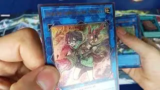 The Chronicles Deck, Spirit Charmers Allí Foil Edición, Deck de 40 y 10 de Extra Deck + 1 Yu Gi Oh 