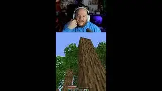 Whats the best Minecraft Leaves? | Gathering Materials for builds!