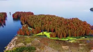 DJmini2 Fly Beautiful Scene China Nature Ningbo Si Ming Lake Metasequoia
