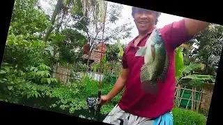 TERNYATA MANCING TANPA RANGKAIAN strike nya babon babon ‼️