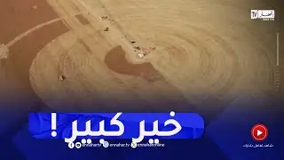 خنشلة : 100 شاحنة  لنقل الحبوب بصحراء النمامشة