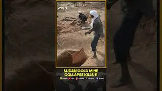 11 Workers Killed After Gold Mine Collapse In Sudan: State Company | WION Shorts