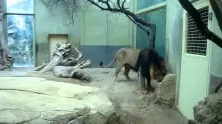 MOV05025