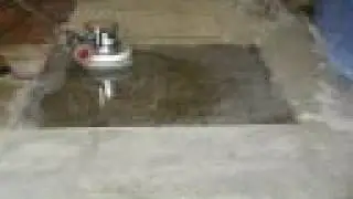 MONKEY PAD TRAINING VIDEO