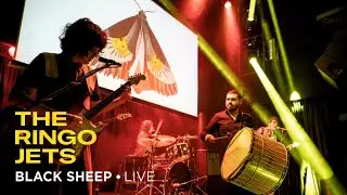 The Ringo Jets - 