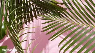 Tobjan - Bonjour [No Copyright Music]