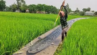 Unique & Best Teta Fishing Method In Water Drean🥰Amazing Boy Catch Big Fish By Kotch In Water Drain